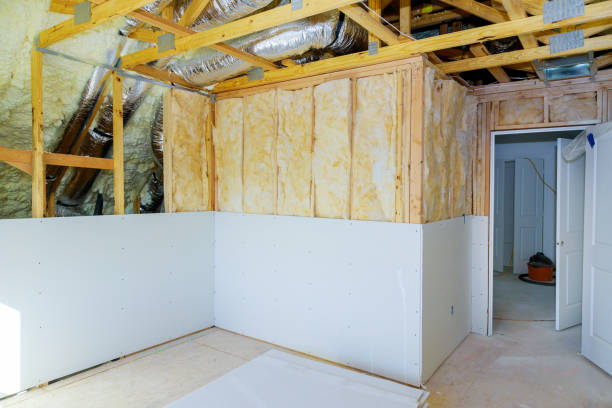 Best Types of Insulation in Passapatanzy, VA