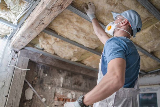 Best Specialty Insulation in Passapatanzy, VA