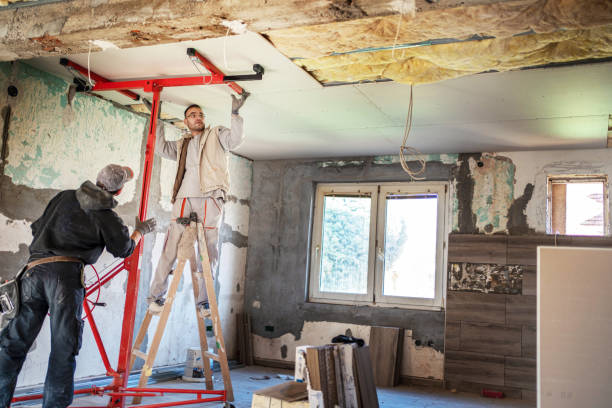 Best Residential Insulation in Passapatanzy, VA