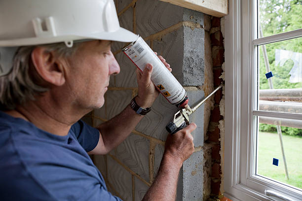 Best Insulation Installation Services in Passapatanzy, VA