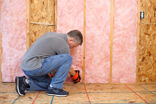 Professional Insulation Contractor in VA