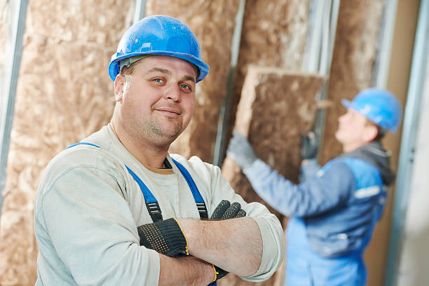 Best Insulation Materials and Products in Passapatanzy, VA